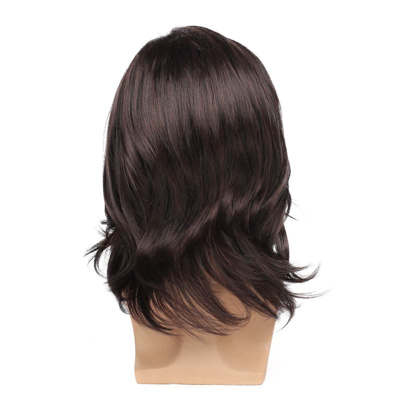 Kaneles Men's Wig Dark Brown Long Curly Natural Hair Wig Costume Halloween Cospaly Party Wigs - Image 4